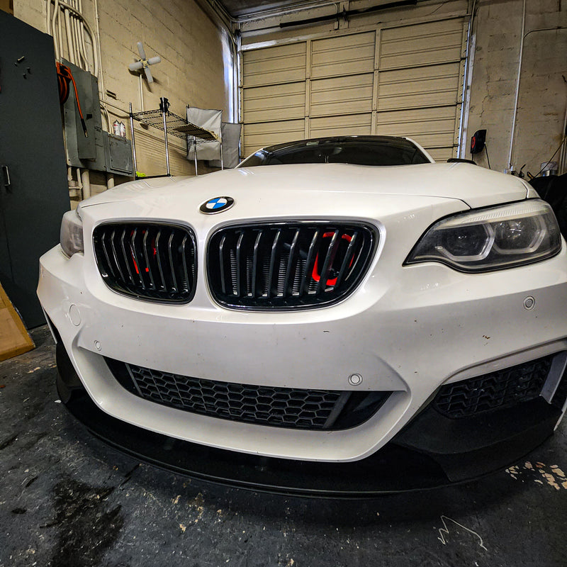 2014-2021 BMW F22 (2-Series) and 2012-2019 BMW F20/F21 (1-Series) BIG MOUTH Ram Air Intake Snorkel (Single or Dual)