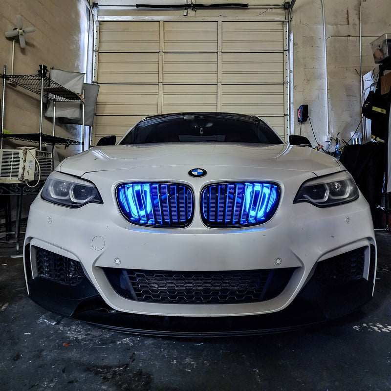 2014-2021 BMW F22 (2-Series) and 2012-2019 BMW F20/F21 (1-Series) BIG MOUTH "LIT KIT" Ram Air Intake Snorkel