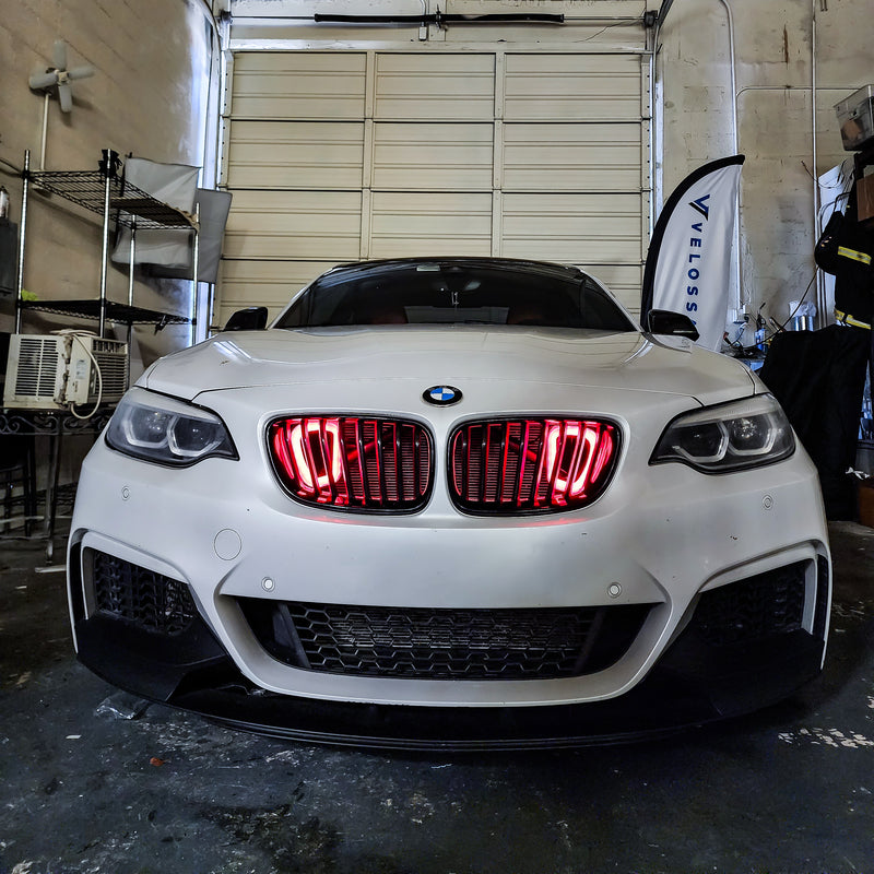 2014-2021 BMW F22 (2-Series) and 2012-2019 BMW F20/F21 (1-Series) BIG MOUTH "LIT KIT" Ram Air Intake Snorkel