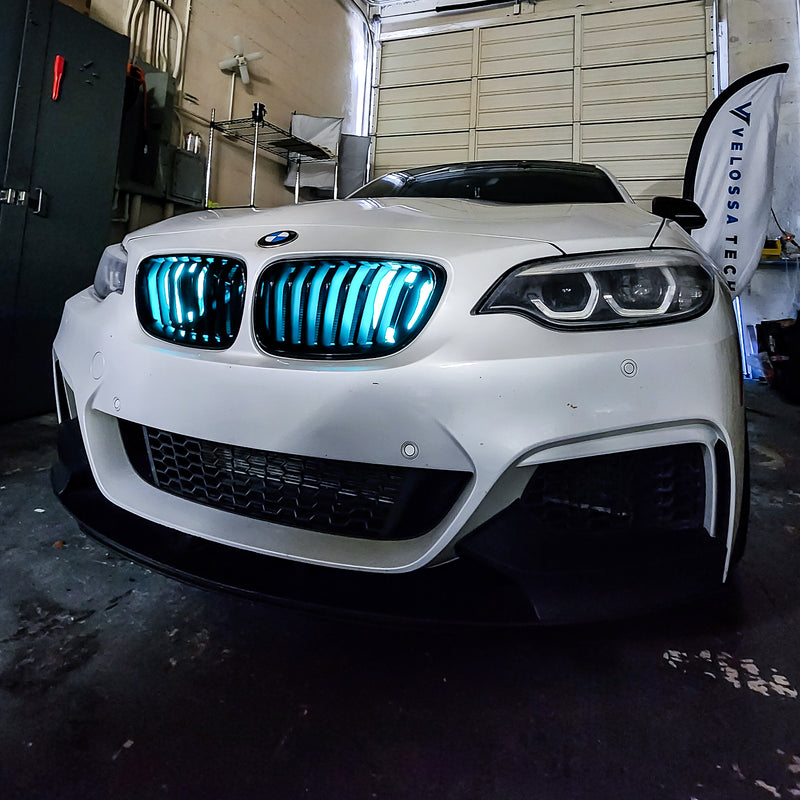 2014-2021 BMW F22 (2-Series) and 2012-2019 BMW F20/F21 (1-Series) BIG MOUTH "LIT KIT" Ram Air Intake Snorkel