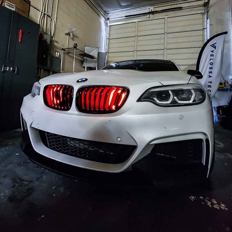 2014-2021 BMW F22 (2-Series) and 2012-2019 BMW F20/F21 (1-Series) BIG MOUTH "LIT KIT" Ram Air Intake Snorkel