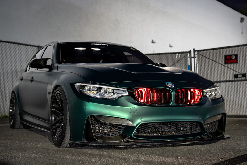 2014-2019 BMW M3 (F80) Dual BIG MOUTH "LIT KIT" Ram Air Intake Snorkel
