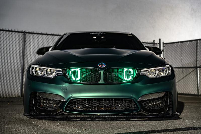 2014-2019 BMW M3 (F80) Dual BIG MOUTH "LIT KIT" Ram Air Intake Snorkel