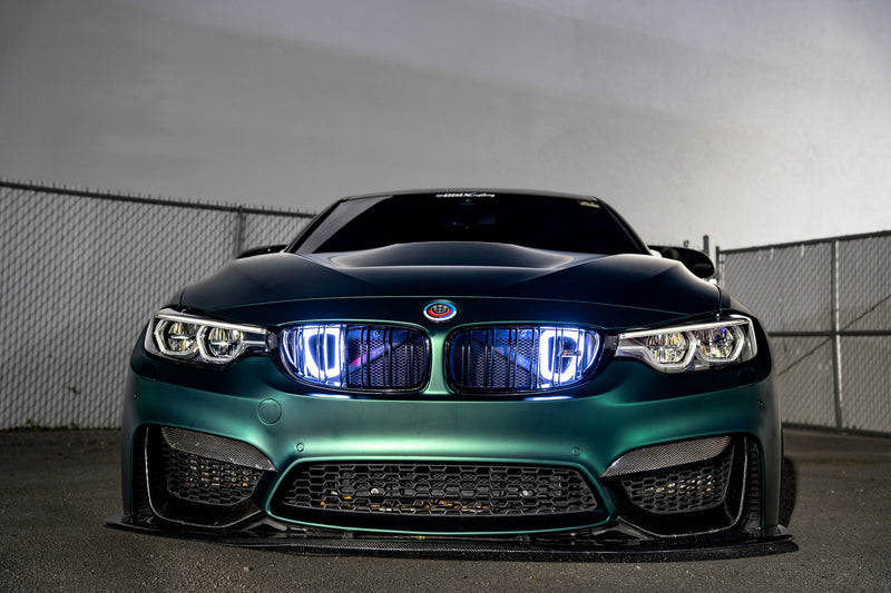 2014-2019 BMW M3 (F80) Dual BIG MOUTH "LIT KIT" Ram Air Intake Snorkel