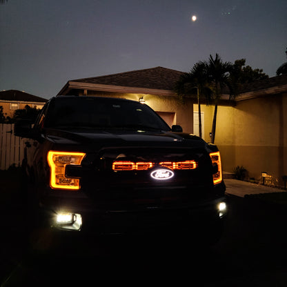 2015-2017 Ford F-150 and 2017-2020 Ford F-150 Raptor Quad BIG MOUTH LIT KIT Ram Air Intake Snorkels