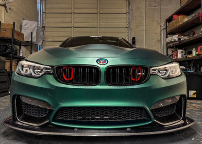 2014-2019 BMW M3 (F80) BIG MOUTH Ram Air Intake Snorkel (Single or Dual)