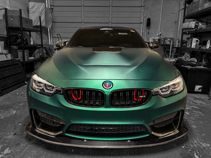 2014-2019 BMW M3 (F80) BIG MOUTH Ram Air Intake Snorkel (Single or Dual)